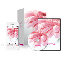 Awakening_CD_MP3_Product_Image_200x200