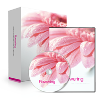 Awakening_CD_Product_Image_200x200