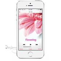 Awakening_MP3_Product_Image_200x200