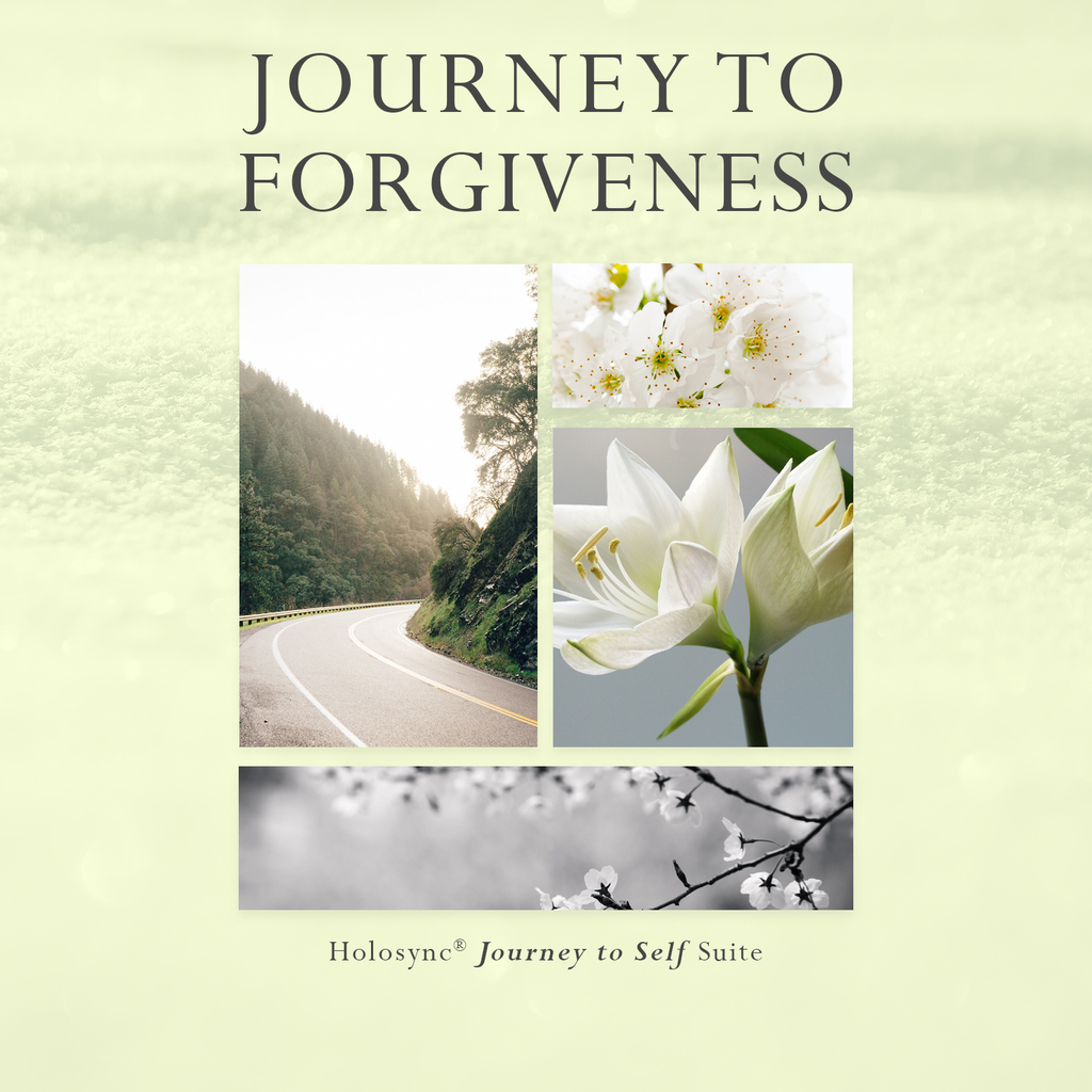 Journey To Self Holosync® Meditation Technology