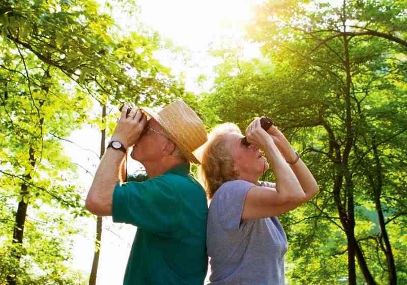 old couple birdwatching in forest