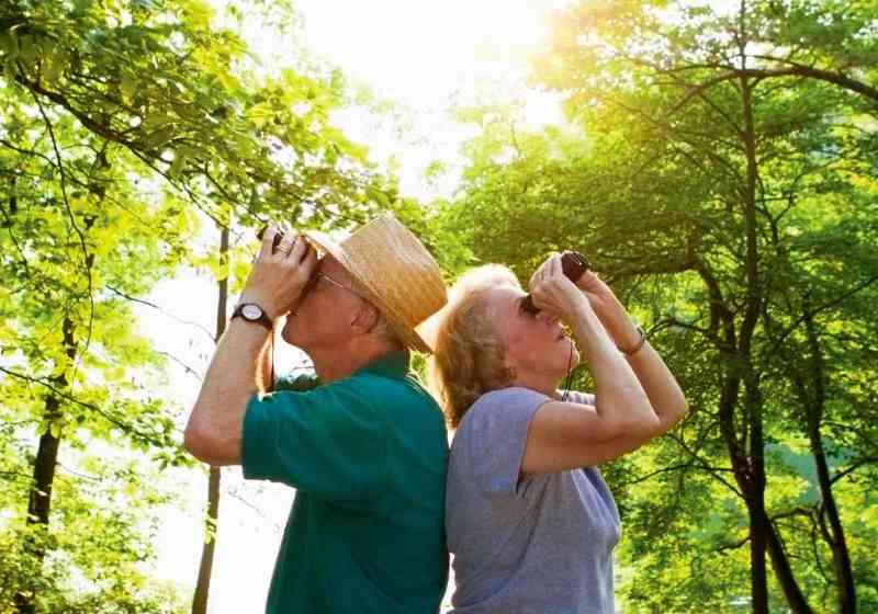 MP 415 Email Image 1 old couple birdwatching in forest