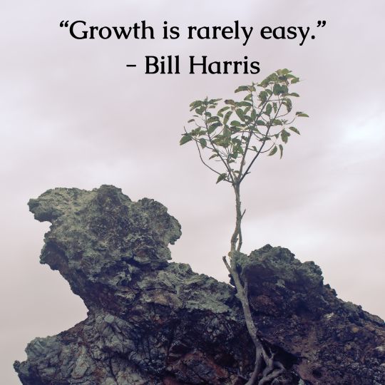 MP 431 Wise Words Email