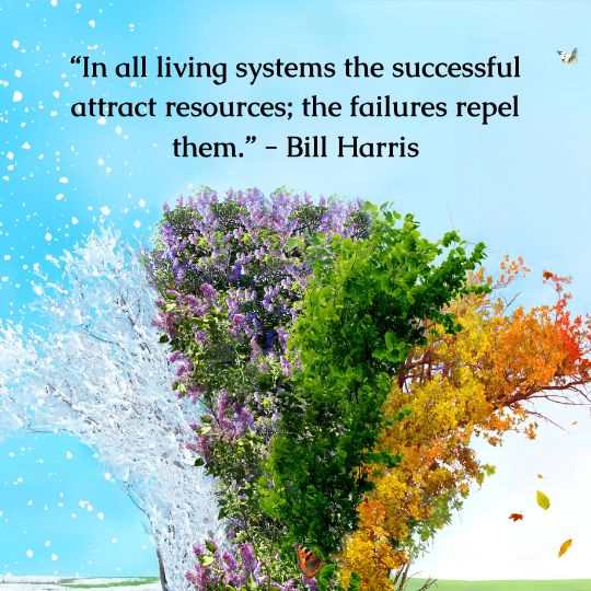 MP 434 Wise Words Email