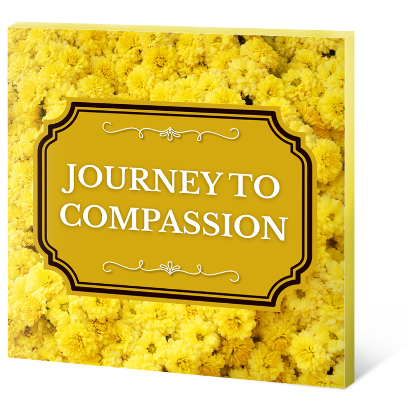 Journey to Compassion 3d (2)