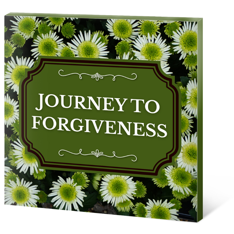 Journey to Forgiveness 3d (2)