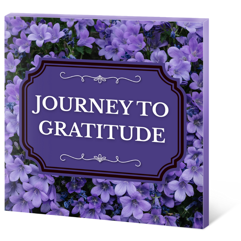 Journey to Gratitude 3d (2)