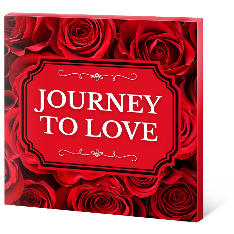 Journey to Love 3d