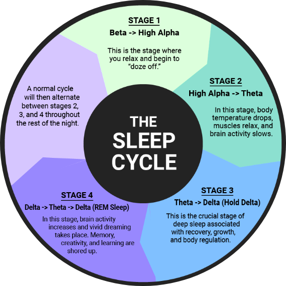 Sleep_Cycle